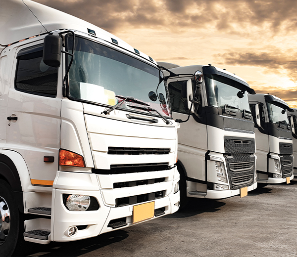 사업소개페이지 기업화물운송 이미지입니다. *기업화물운송은 보문동퀵*